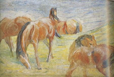 Franz Marc Graing Horses i (mk34) Spain oil painting art